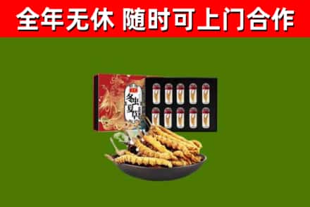 陇南市回收冬虫夏草价格